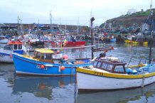 Harbour Boats